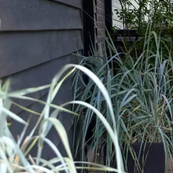 Klinkbeklædning^Klinkbeklædning gran sortmalet 19x125 mm x 4,2 m