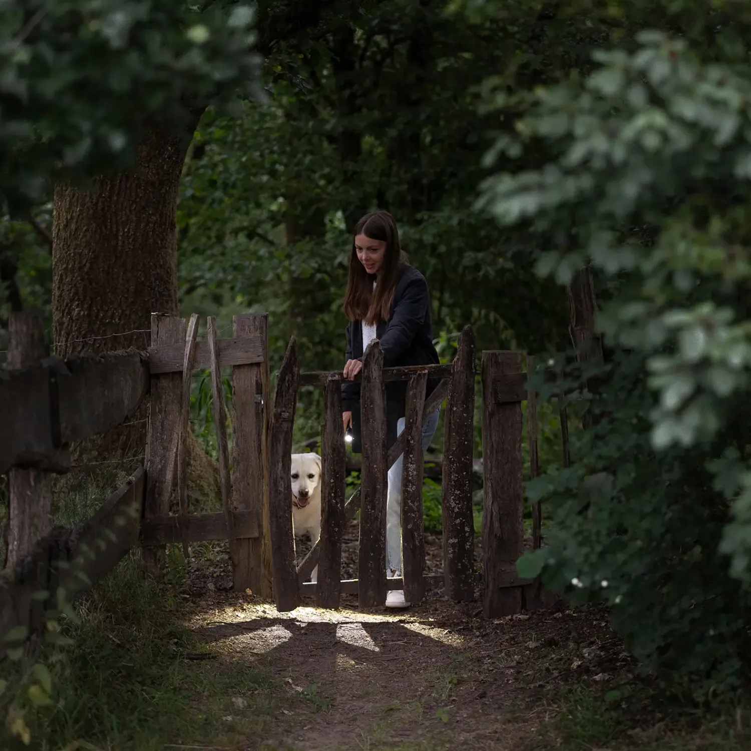 Ledlenser Lommelygter^P5R Core lommelygte inkl. 1xgenopladelig batteri sort