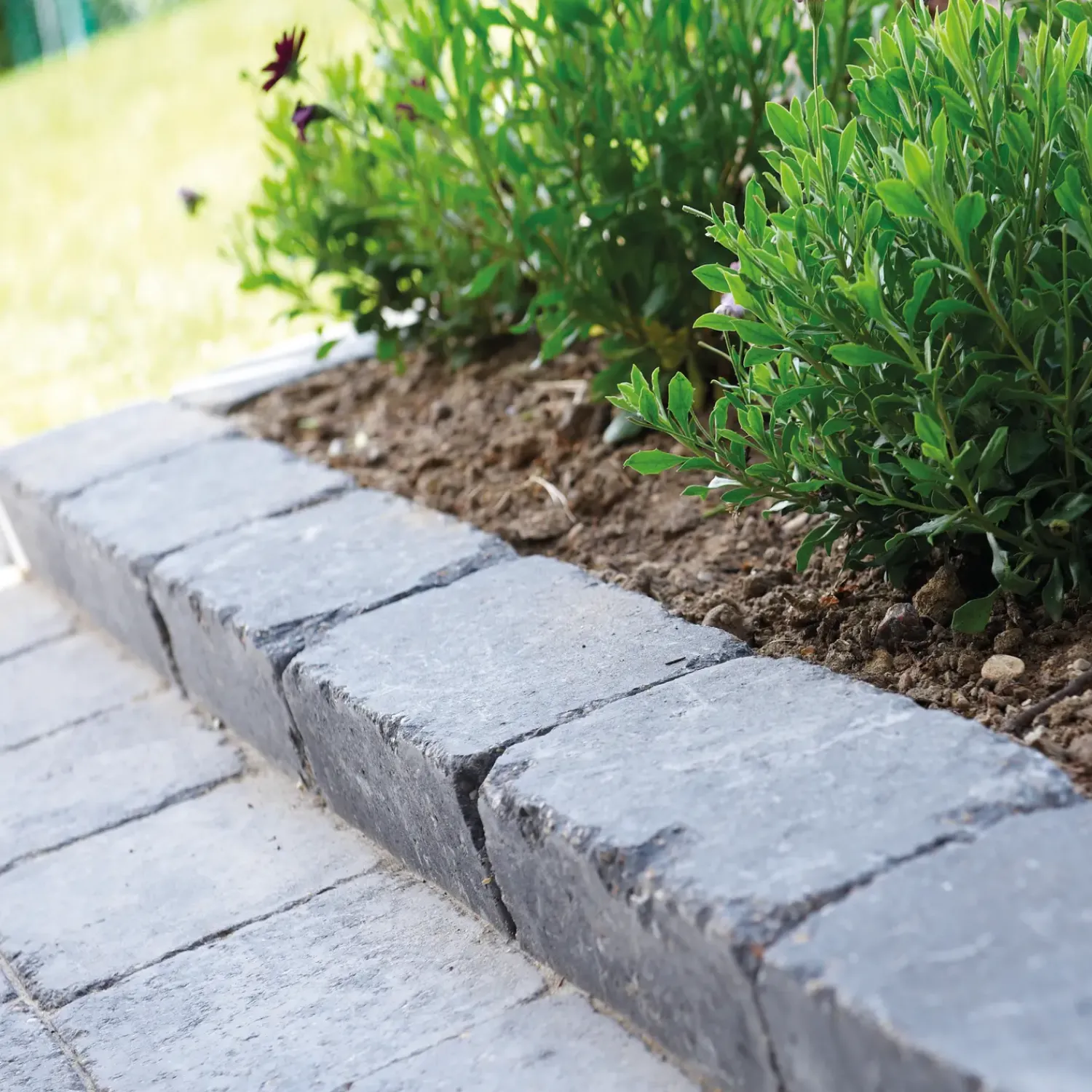 Sale RBR Maxi-Block Brud Koks