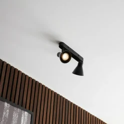 Loftlamper^Nordlux Eik 2 spotlight sort