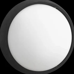 Philips Udendørs Væglamper^Eagle udendørs væglampe sort