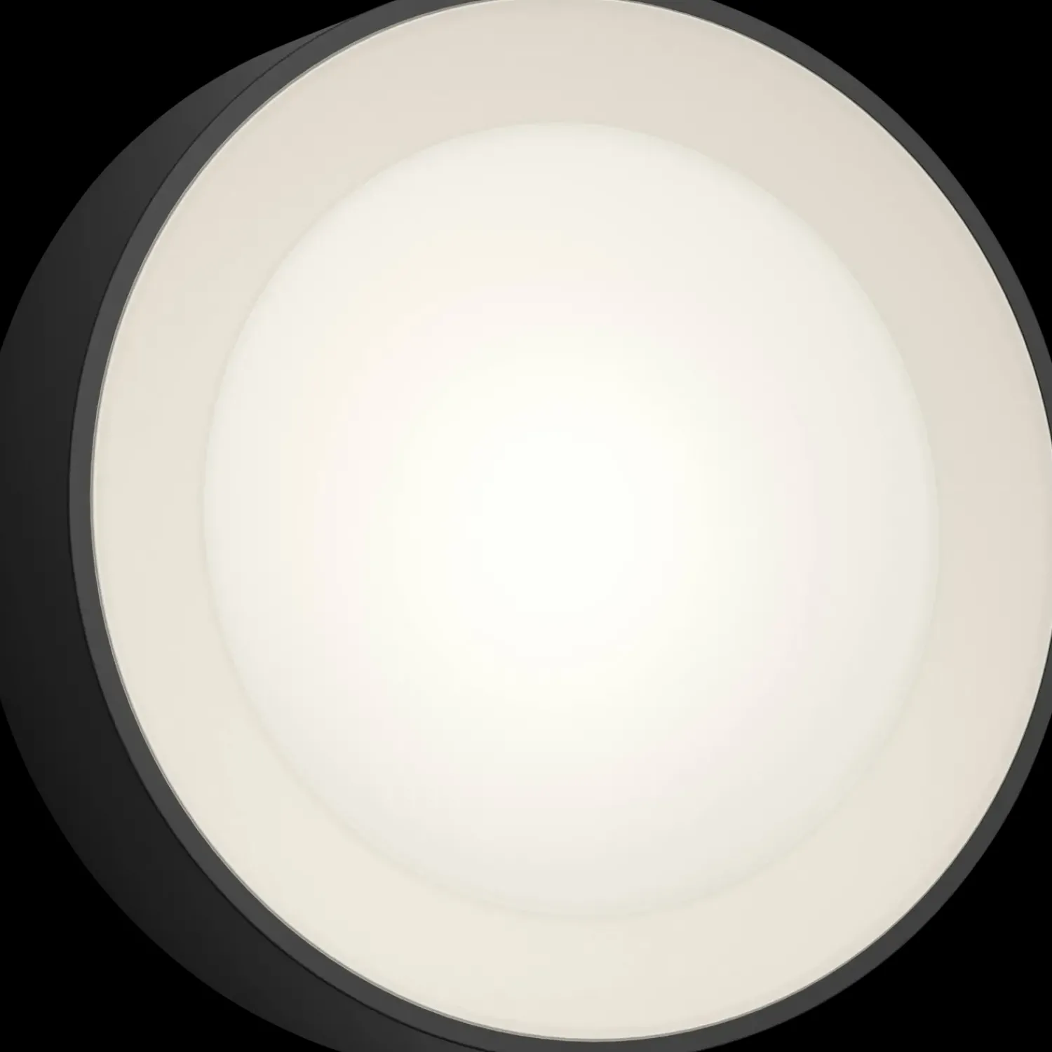 Clearance Philips Hue Daylo udendørs væglampe 15W sort