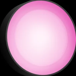 Clearance Philips Hue Daylo udendørs væglampe 15W sort