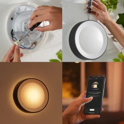 Clearance Philips Hue Daylo udendørs væglampe 15W sort