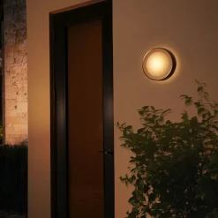 Clearance Philips Hue Daylo udendørs væglampe 15W sort