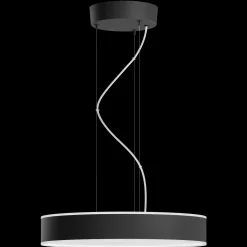 Online Philips Hue Enrave pendel Ø42,5 mm 33,5W sort
