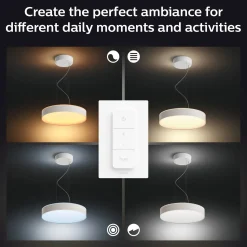 Philips Hue Loftlamper^Enrave pendel Ø42,5 mm 33,5W hvid