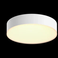 Philips Hue Loftlamper^Enrave S plafond Ø26,1 cm 9,6W hvid