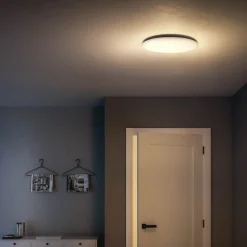 New Philips Wawel plafond 20W hvid