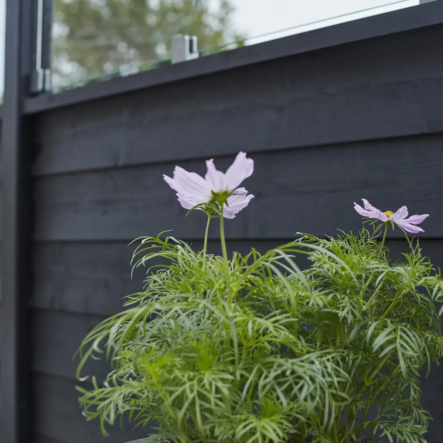 Plus Stål- Og Glashegn^Klink profilhegn m/glas 174x125 cm sort