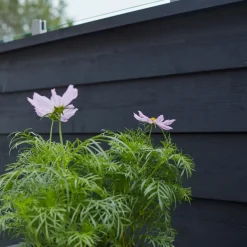 Plus Klink/Plank mellemtop/afslutning 174 cm sort