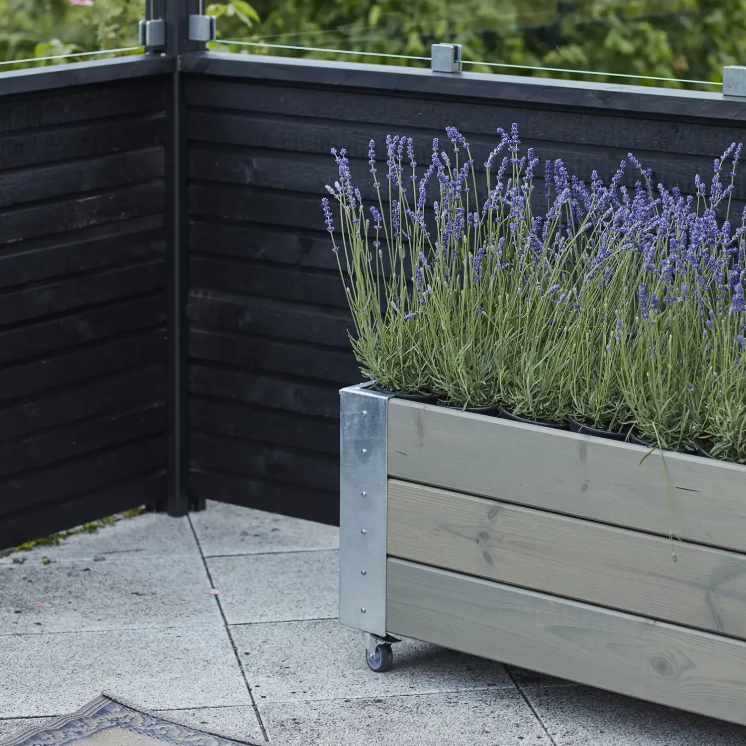 Outlet Plus Plank profilhegn inkl. glas 174x125 cm sort