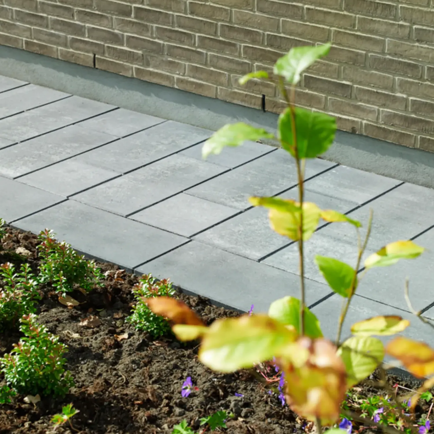 RBR Betonfliser^Nordic-Line haveflise, 30x60x6 cm grå