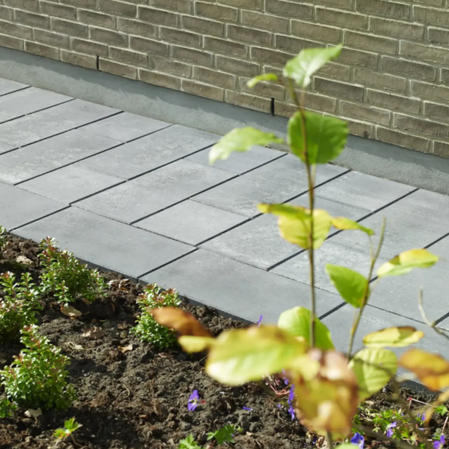 Sale RBR Nordic-Line haveflise 30x60x5, grå