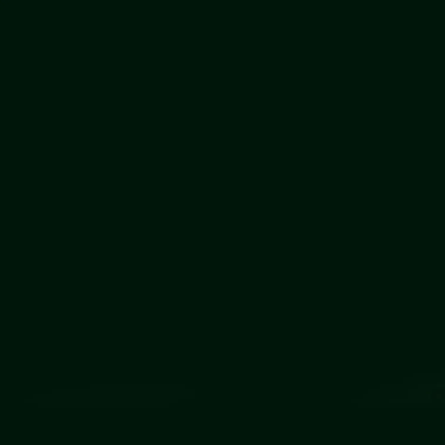 Rockpanel Facadeplader^Colour plade 8x12x2500 mm Ral 9011