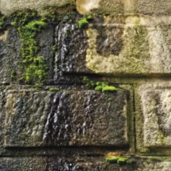 Udendørs Rengøring|Rengøring Ifm. Maling^Rodalon udendørs grøn 1 L