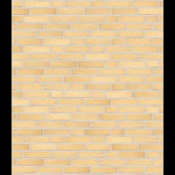 Dame Randers Tegl Mursten^RT 220 Facademursten ms massiv gul