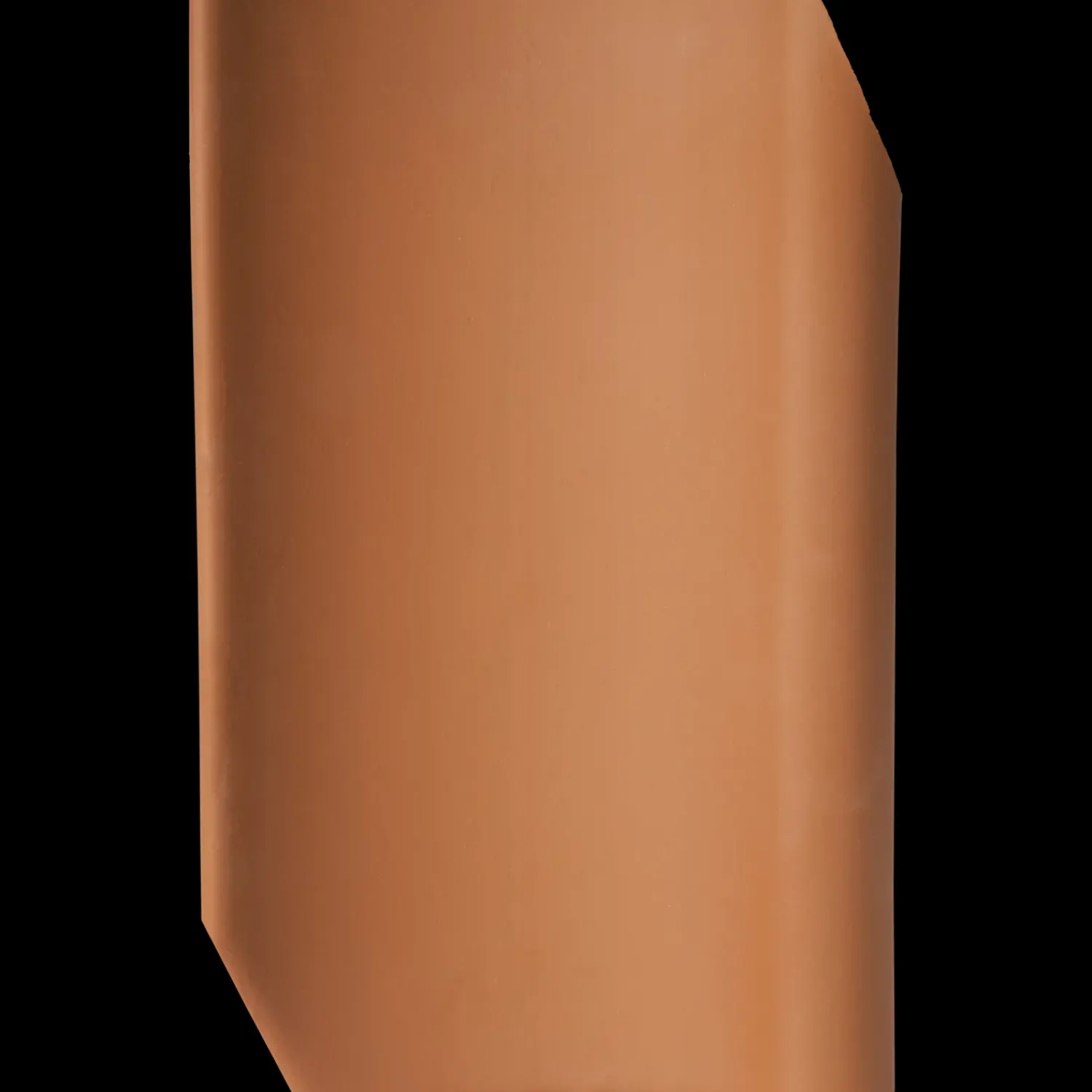 Randers Tegl Tagsten^RT 806 Højslev vingetagsten lille dansk, rød