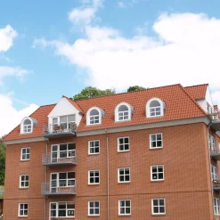 Outlet Randers Tegl RT 801 Højslev vingetagsten normalformat, rød