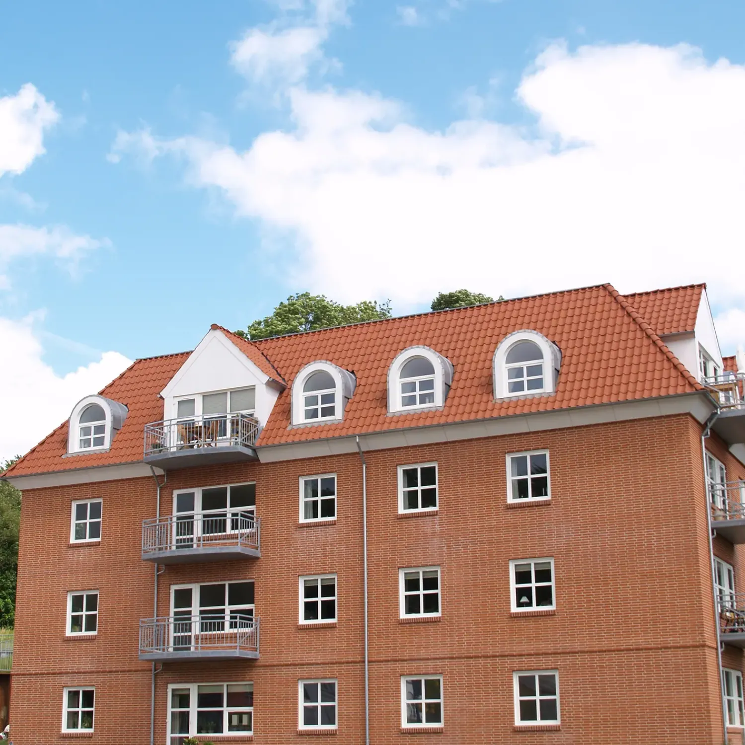 Outlet Randers Tegl RT 801 Højslev vingetagsten normalformat, rød