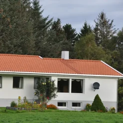 New Randers Tegl RT844 Laumans vingefalstagsten, naturrød