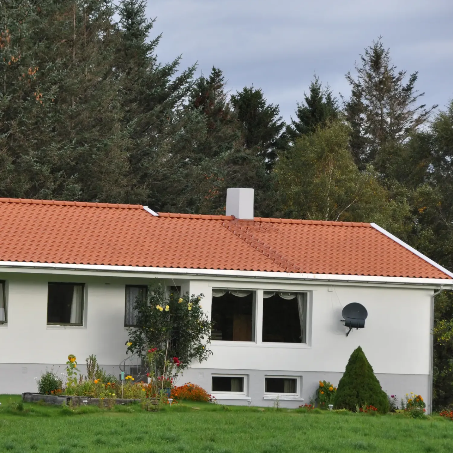 New Randers Tegl RT844 Laumans vingefalstagsten, naturrød