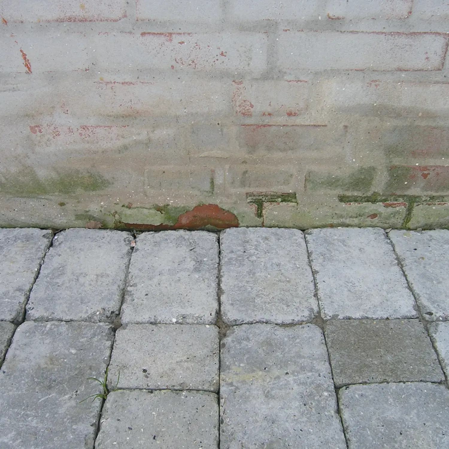 Sika Skalflex sokkelstop 2 kg