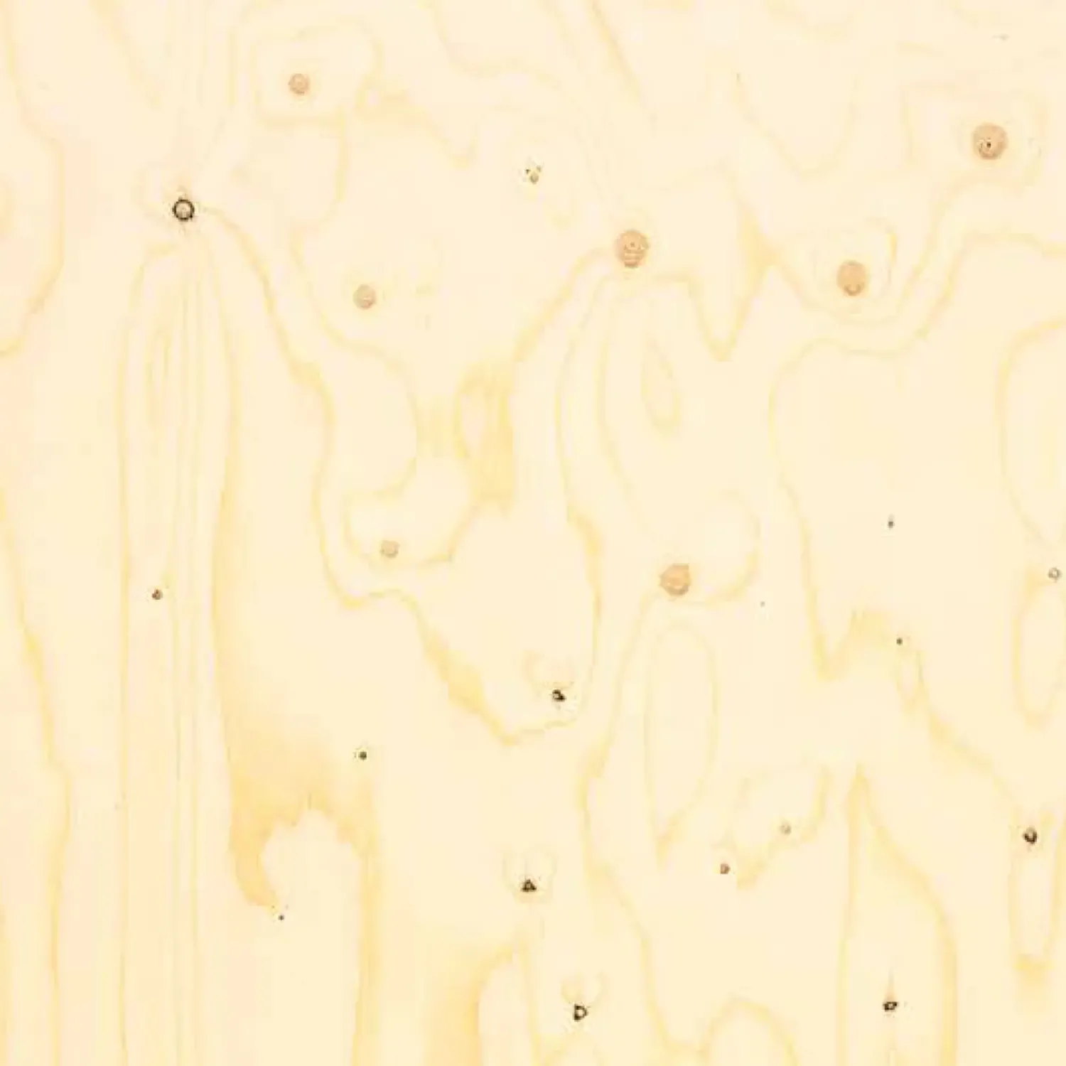 Moelven Krydsfiner^Tagkrydsfiner TG2 15 mm plade 610x2440 mm prevent