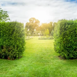 Online Texas BCU33M 4-i-1 benzin 2-takt multimaskine / buskrydder