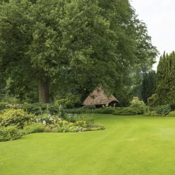 Outlet Texas XM 512TR/W benzin plæneklipper