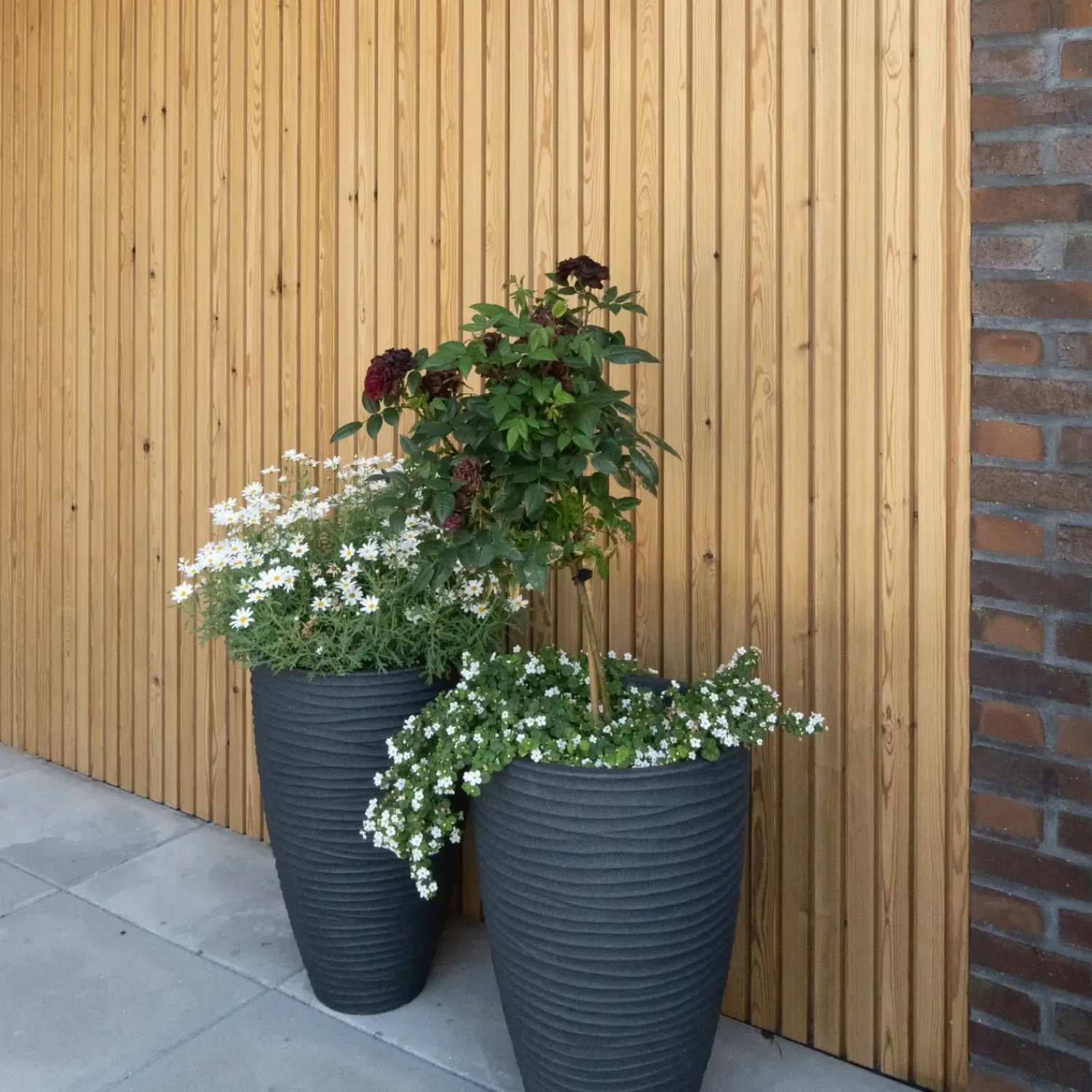 Outlet ThermoWood TGUU beklædning børstet 21x117 mm fyr x 3,6 m