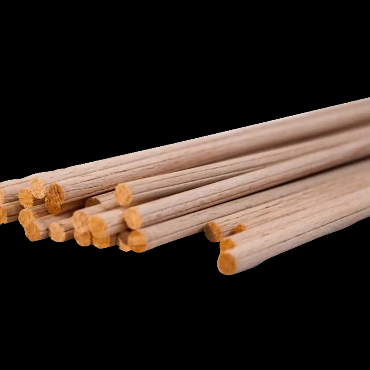 Roliba Rawlplugs Og Dyvler^Trædyvler 16x600 mm