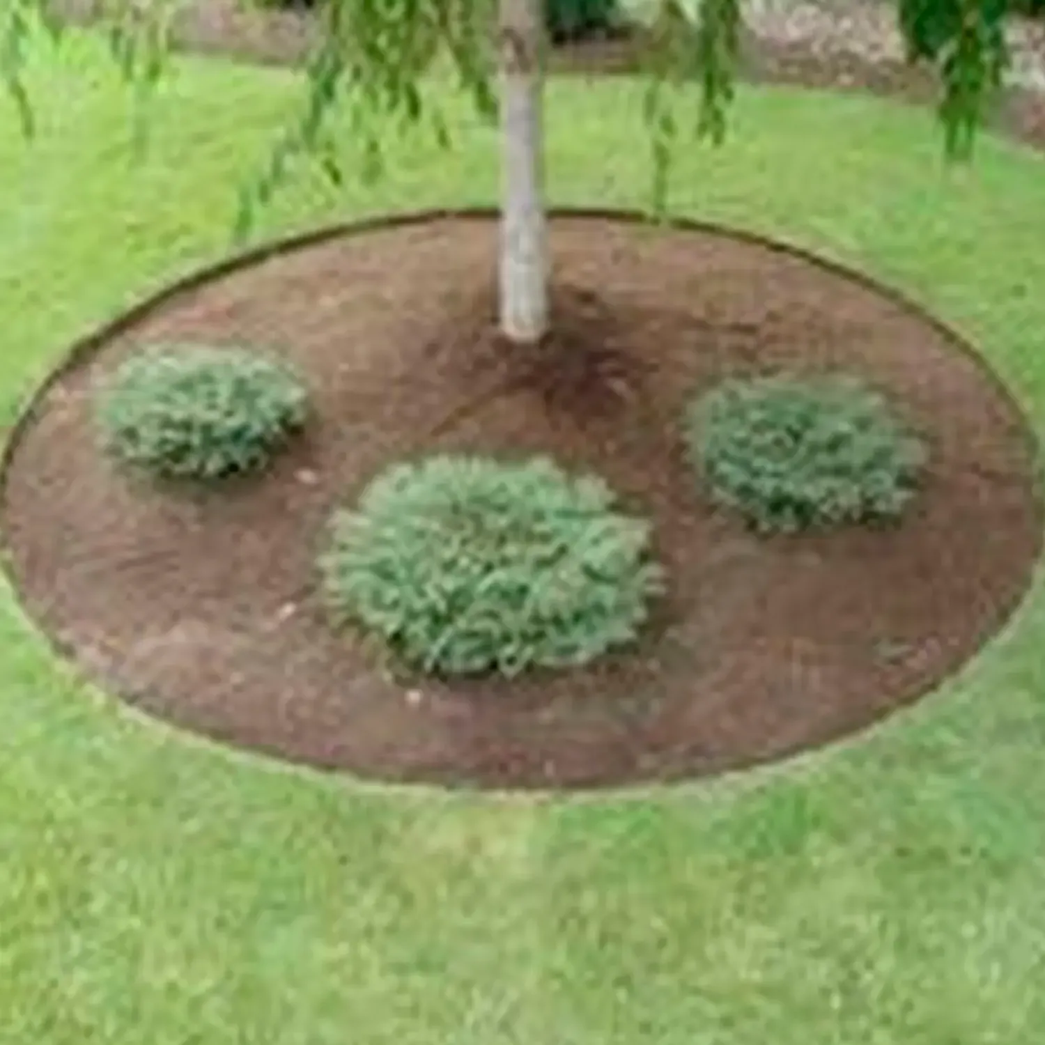 Gødning^Trim® mod mos 3,5 kg