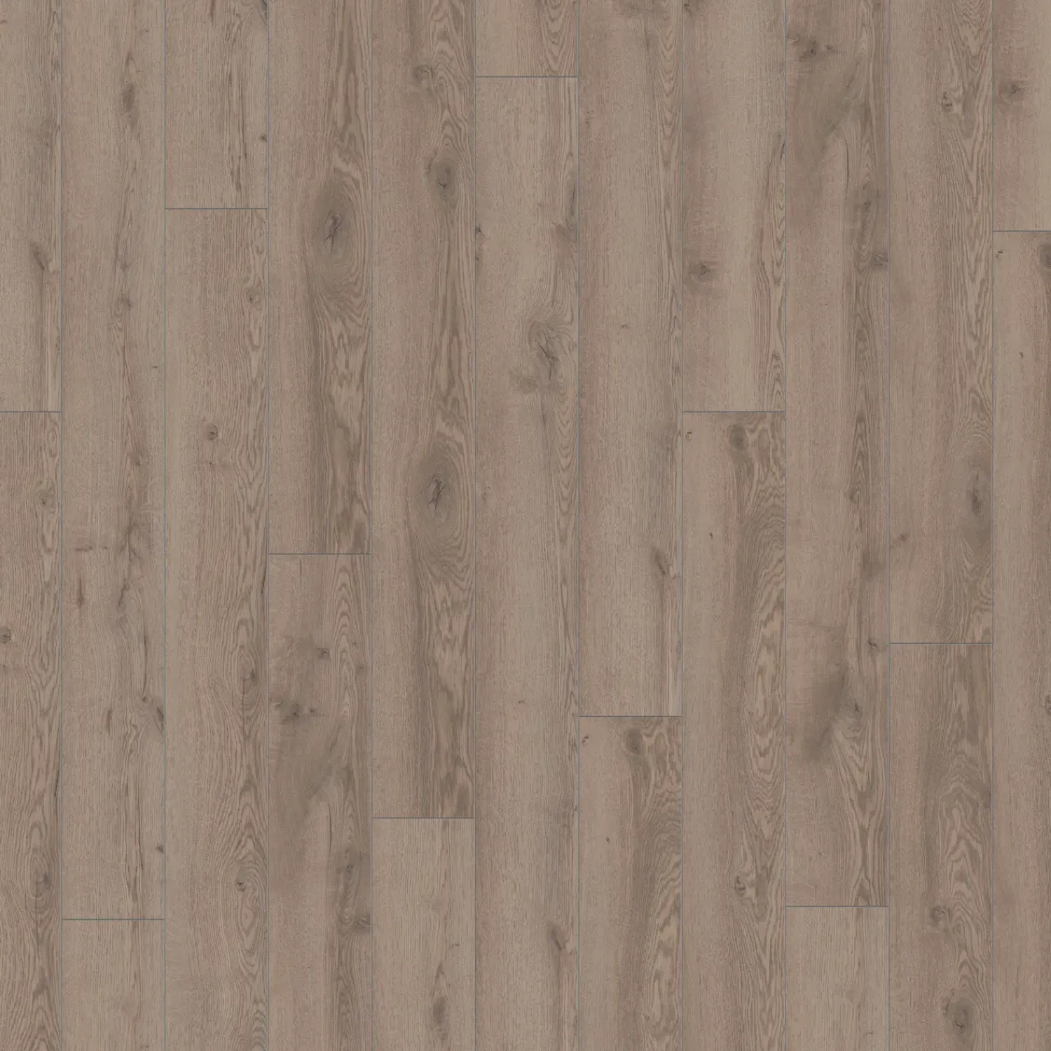 Wallmann Laminatgulve^Mammut laminatgulv grå mountain eg 188x1845x12 mm