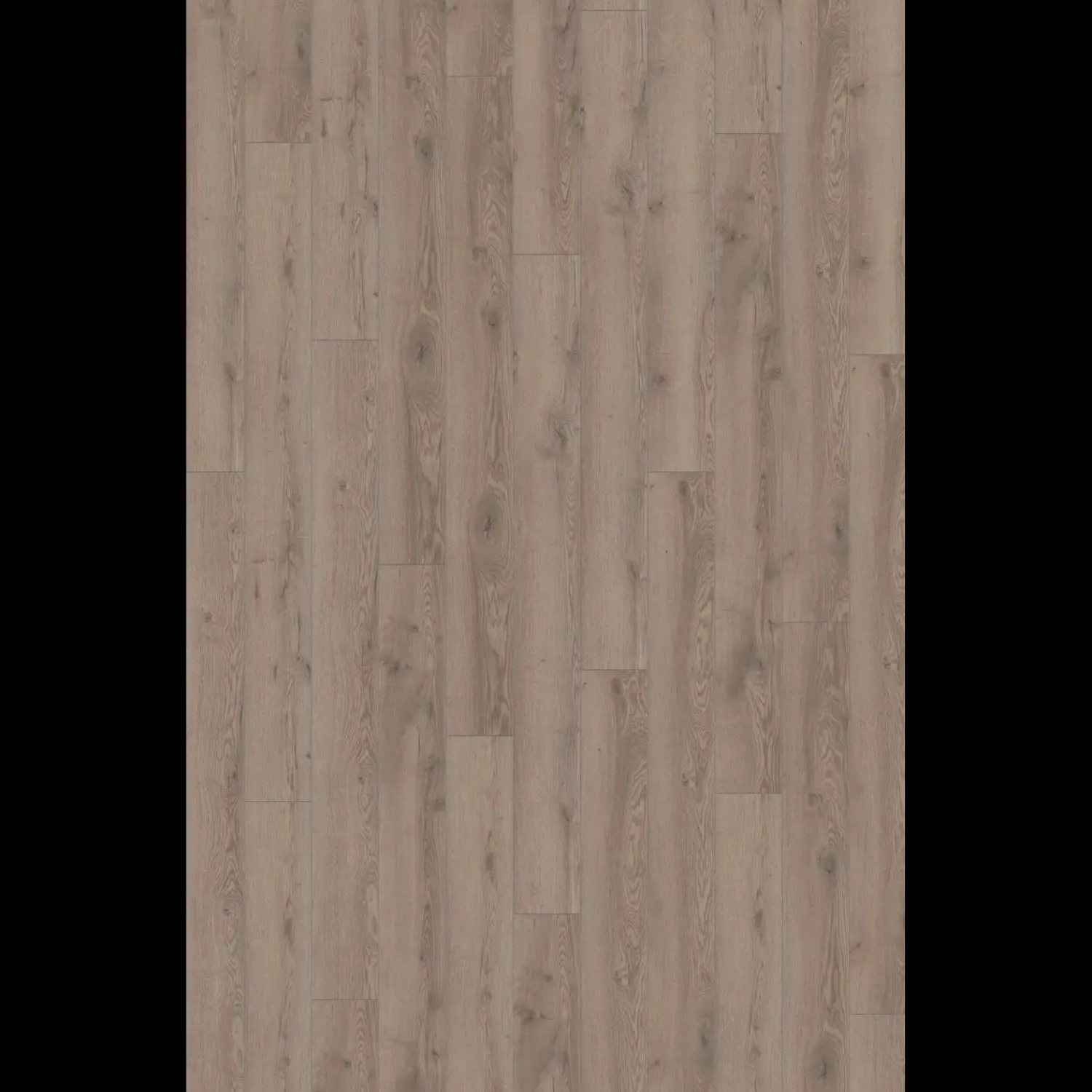 Wallmann Laminatgulve^Mammut laminatgulv grå mountain eg 188x1845x12 mm