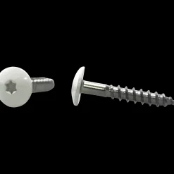 Clearance Walltec facadeskrue 4,8x29 TX20 A4 hvid 250 stk