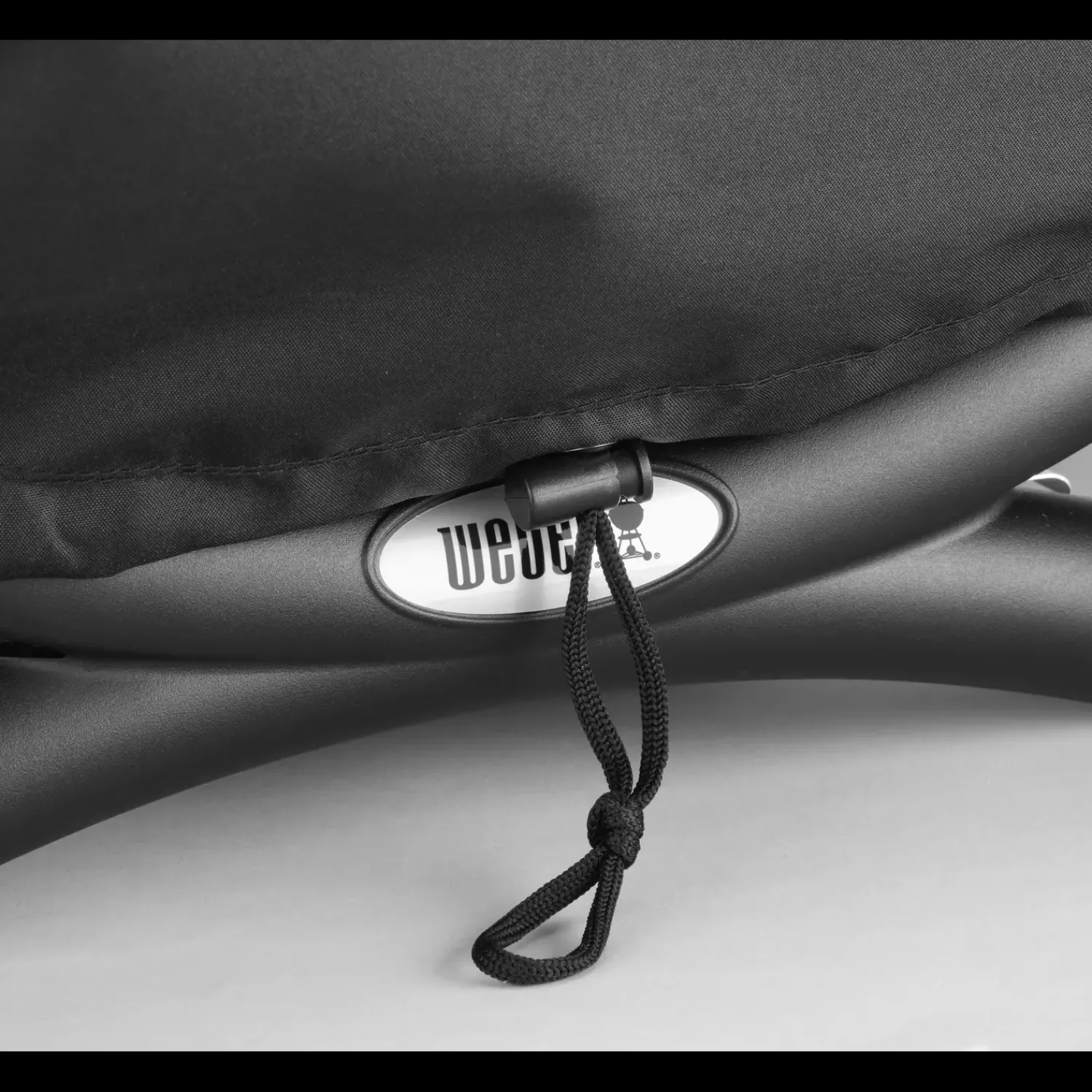 Weber Stegeplader Og Holdere^bradepande stor til Q-serien