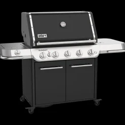 Weber Weber Gasgrill^Summit® FS38 E Gasgrill