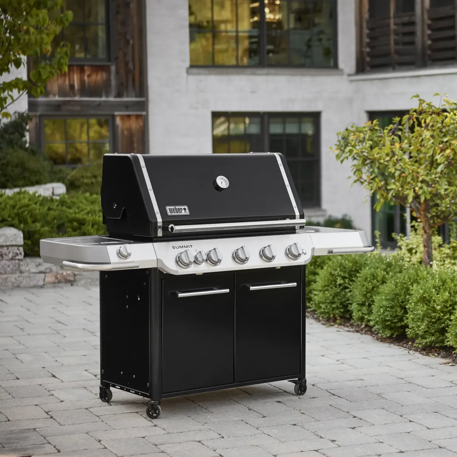 Weber Weber Gasgrill^Summit® FS38 E Gasgrill